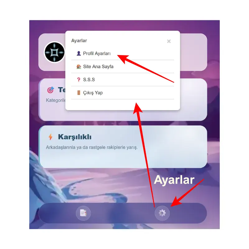 Ayarlar menüsünde profil ayarları