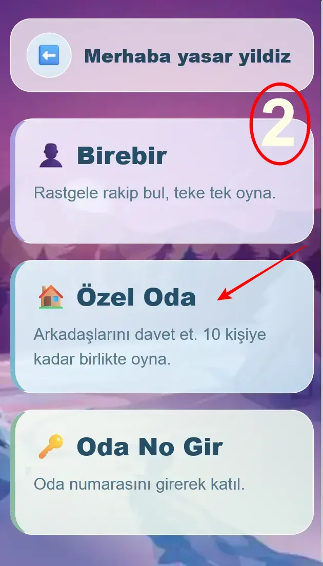 Karşılıklı ekranında Özel Oda ve Oda No Gir seçenekleri