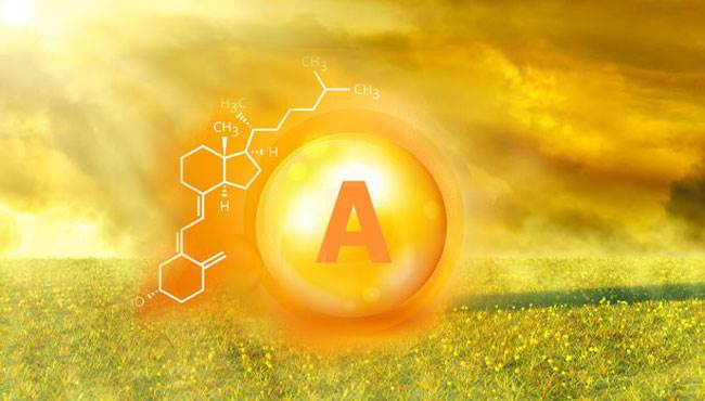 A vitamini hakkında ne biliyoruz?