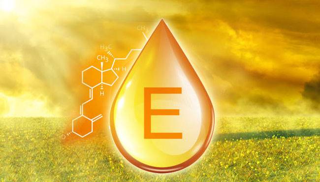 E vitamini hakkında ne biliyoruz?