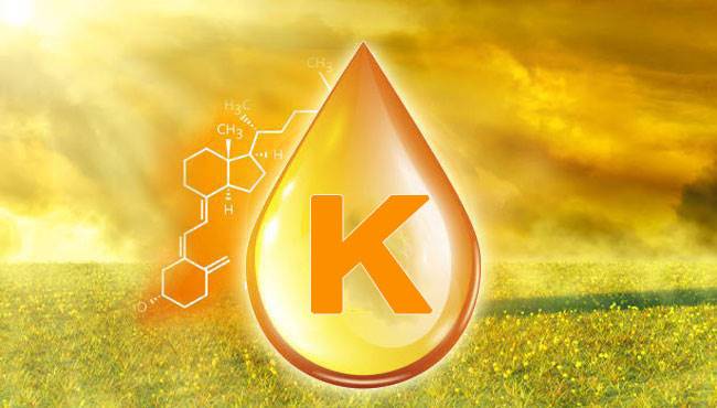 K vitamini hakkında ne biliyoruz?