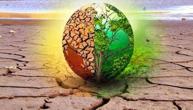 İklim değişikliği nedir, doğaya ve canlıya etkileri
