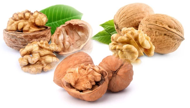 Ceviz Tarihçesi , yetiştirildiği ülkeler ve kullanıldığı alanlar